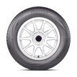 Fortune ClimaFlex 4S